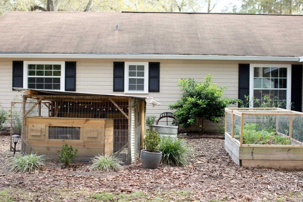 Backyard garden