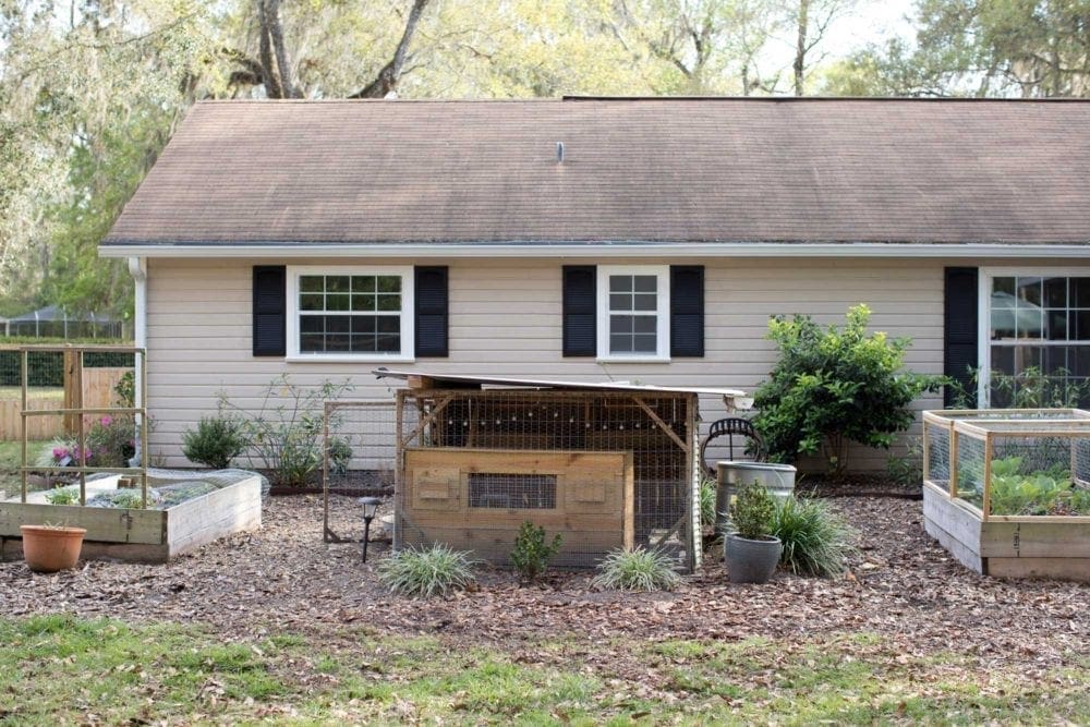 Backyard garden with raised beds and poultry coop