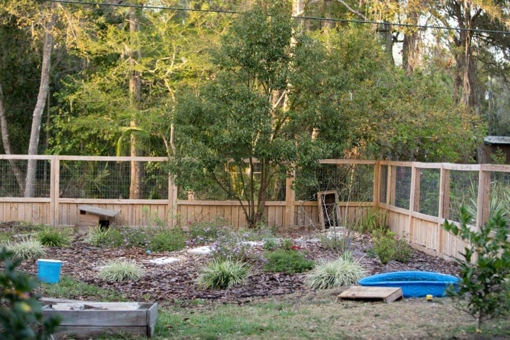 Farm and garden ideas for backyards