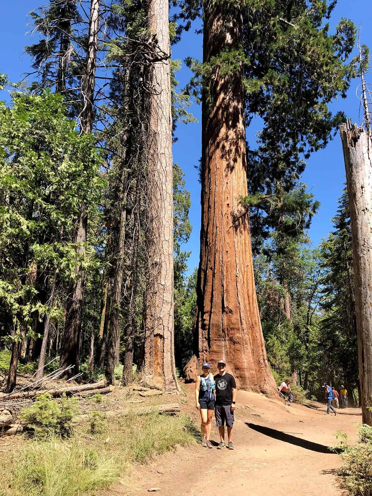 Yosemite National Park