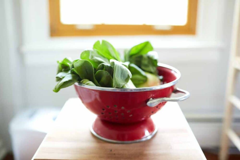 red colander of bok choy.