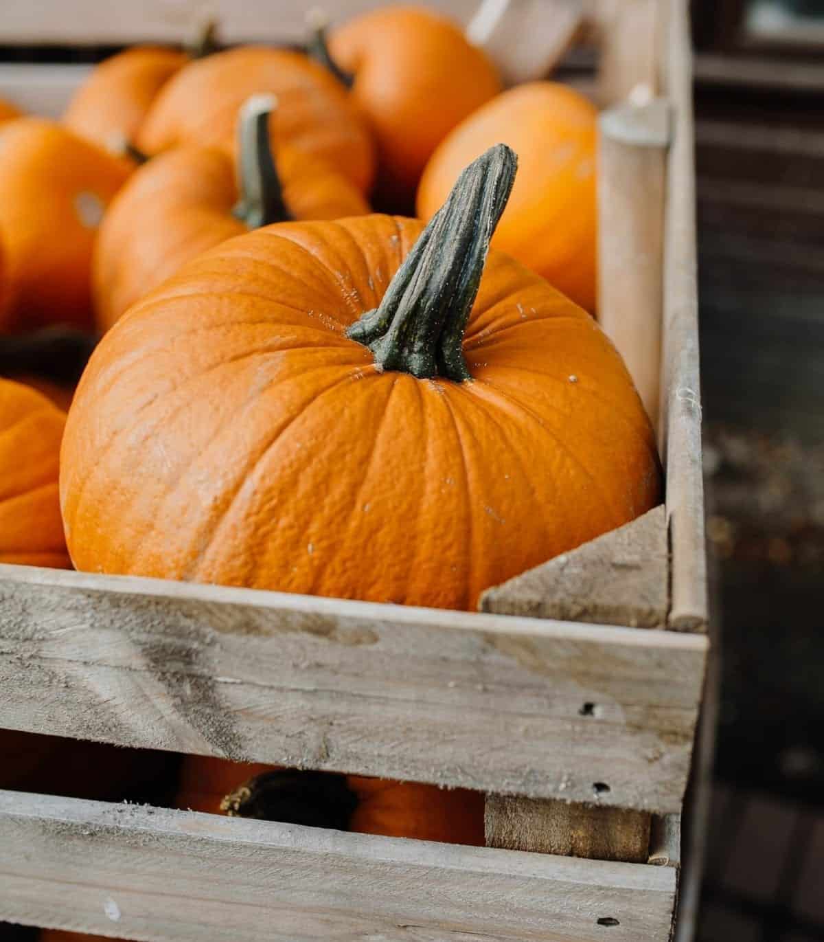 wooden crate filled with bright orange pie pumpkins