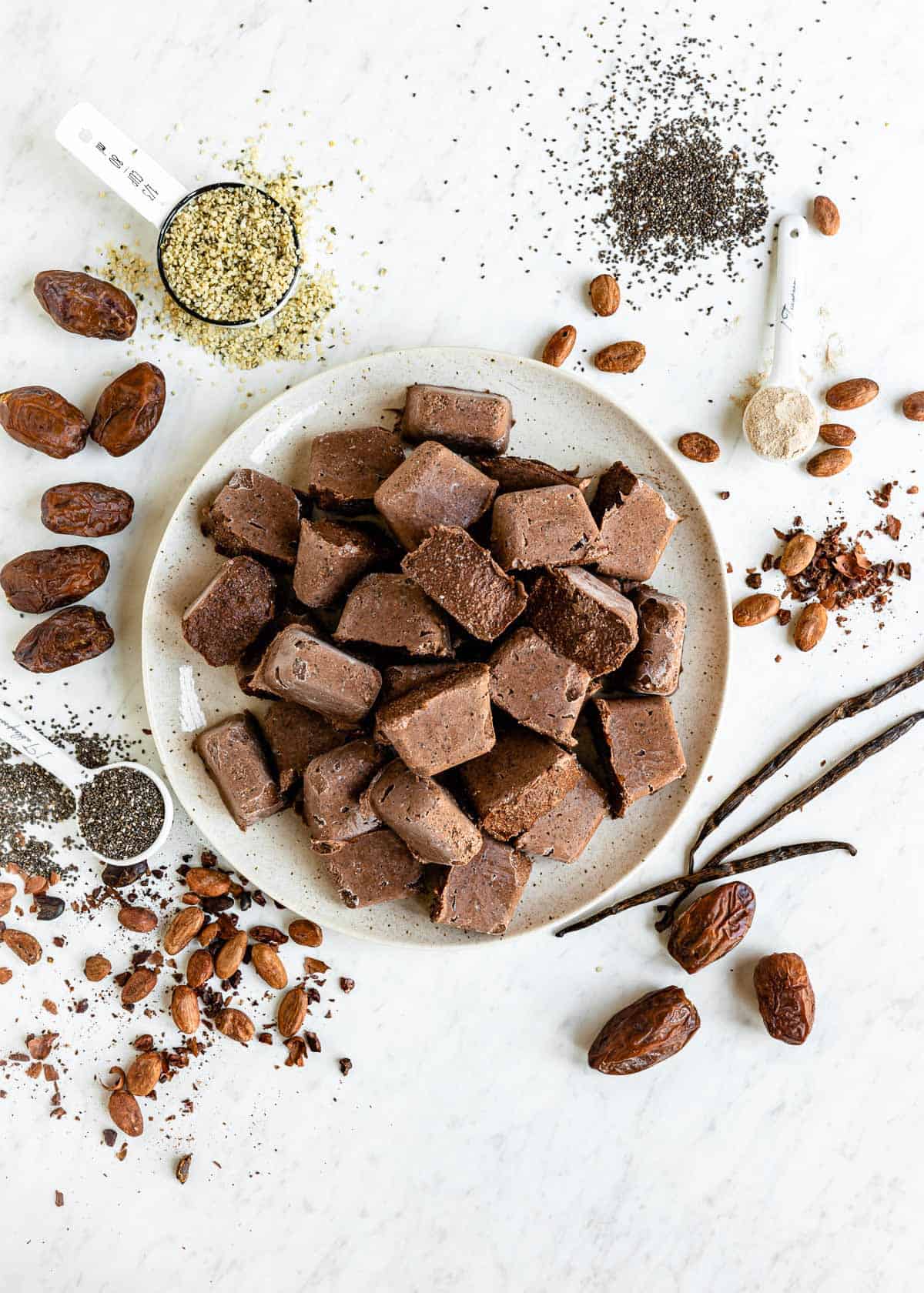 plate of chocolate smoothie cubes surrounded by various brown ingredients.