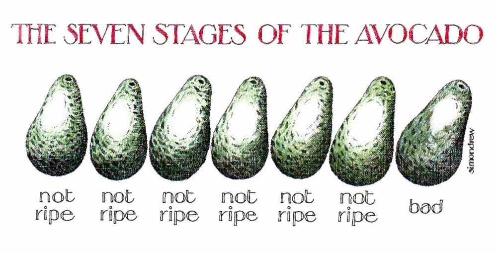 7 stages of the avocado graphic from Simon Drew