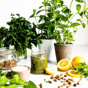 Vegan Pistachio Pesto recipe