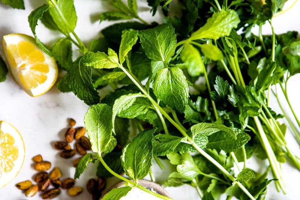 mint leaves for pesto recipe