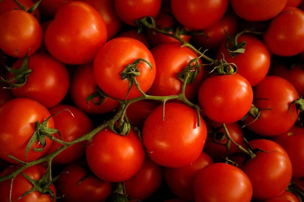 Vine-ripened tomatoes for sun-dried tomato pesto recipe