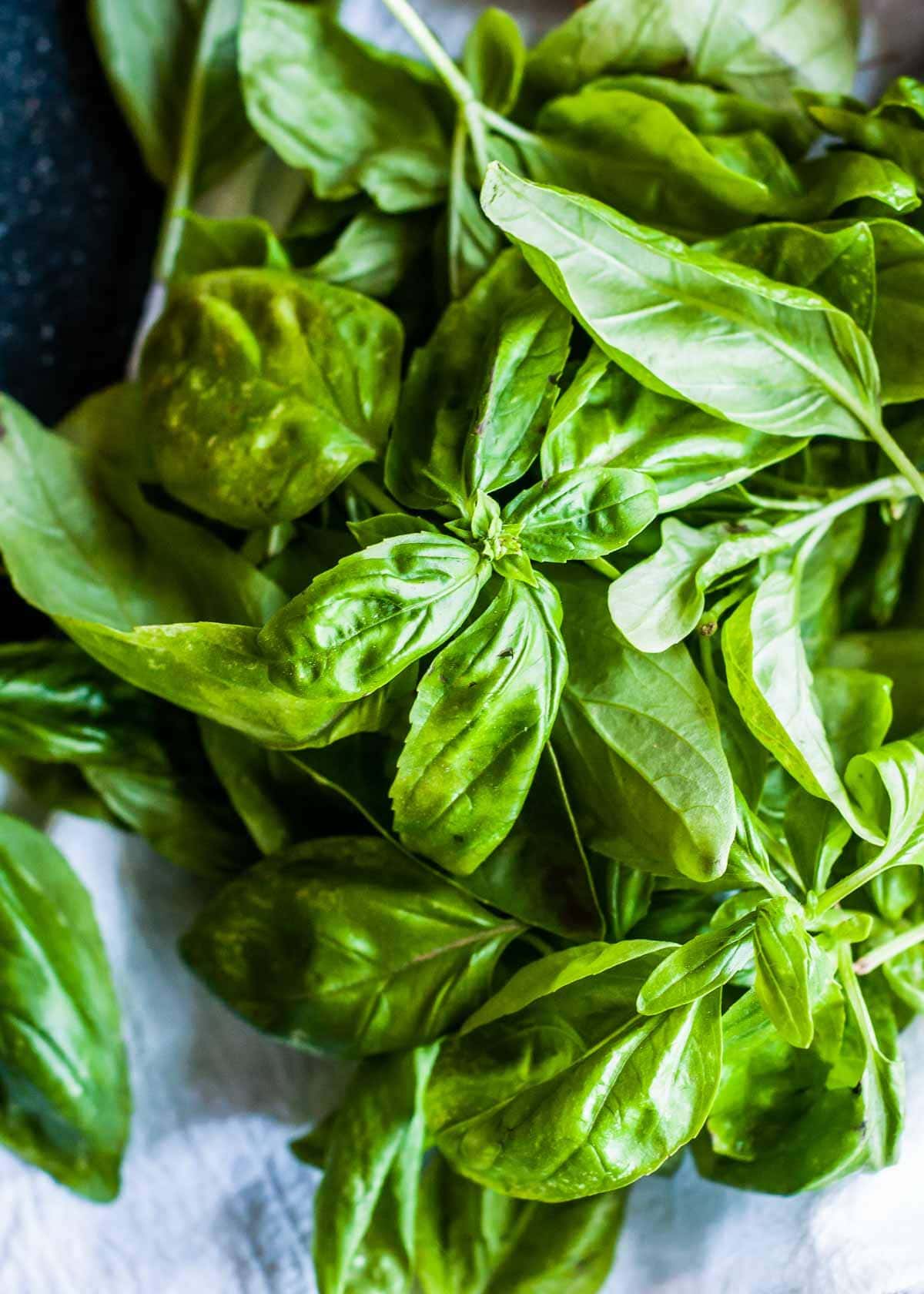 a pile of fresh basil.