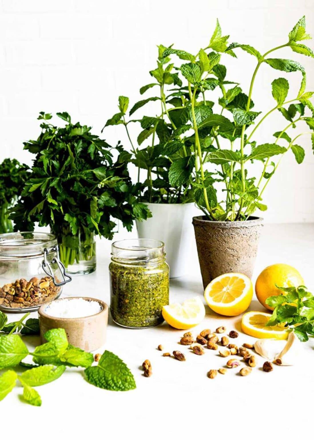 5 Vegan Pesto Recipes Simple + Tasty Blends Packed with Flavor