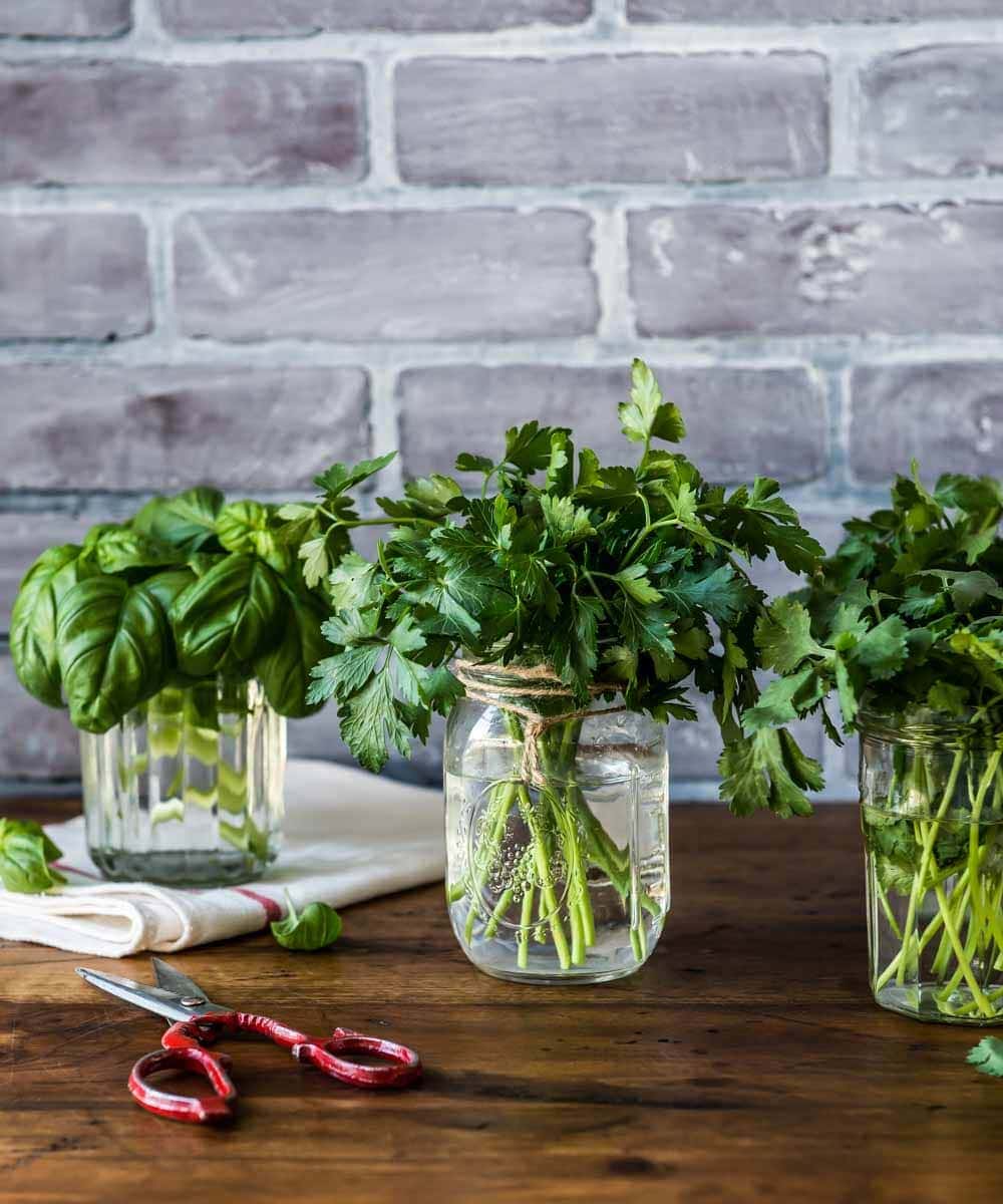 beautiful bouquets of herbs in mason jars ready to be used in the best detox tea. these herbs can also be used in detox tea for weight loss