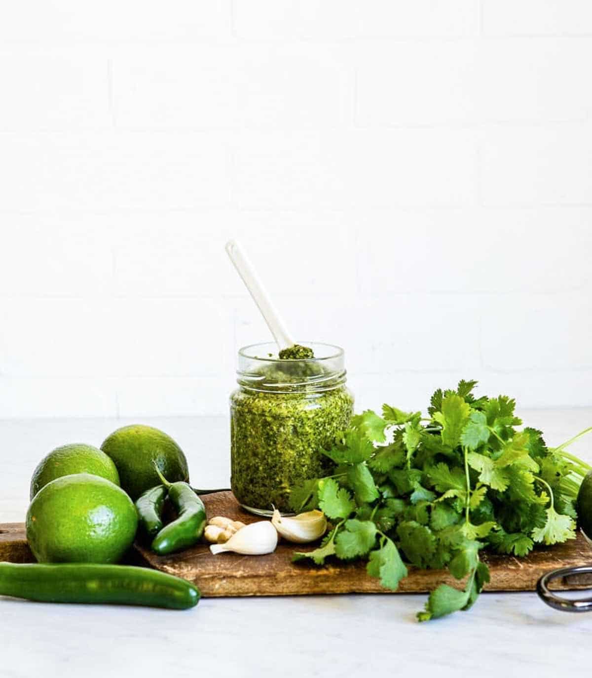 Spicy pesto with cilantro