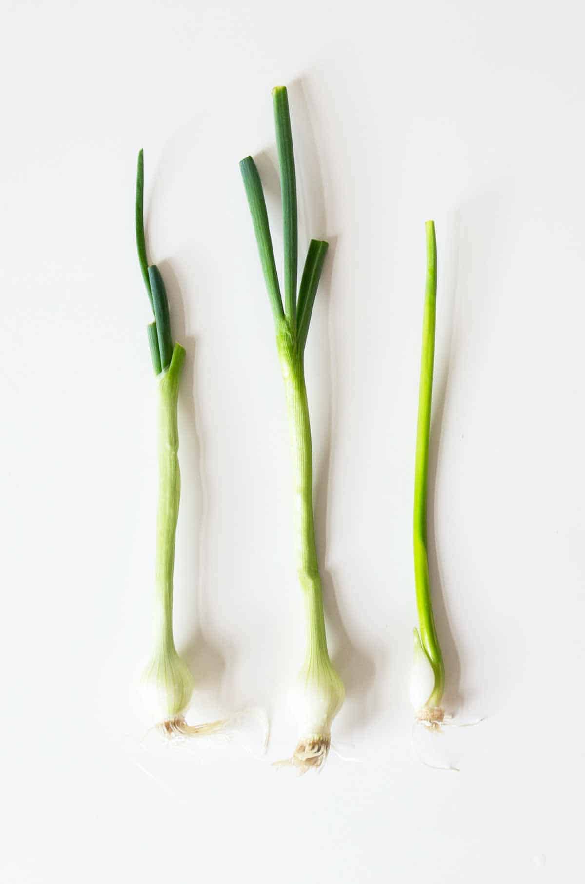 3 fresh green onions with the roots still attached, on a white surface.