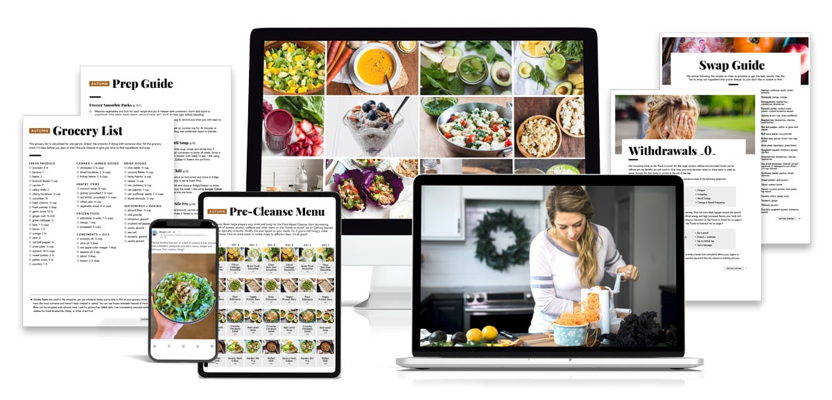 Examples of resources from the plant-based 21 day cleanse.