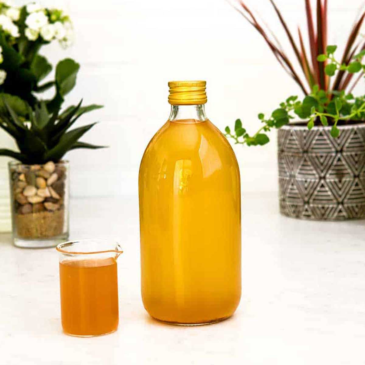 apple cider vinegar drink in a small glass next to a large glass jar of homemade ACV.