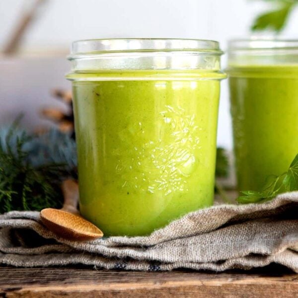 Bieler's Blended Vegetable Soup Nourishing and Quick Recipe