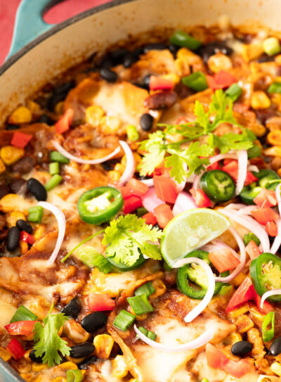 Freshly cooked chopped vegan enchiladas