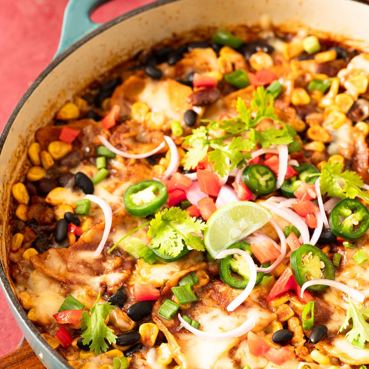Freshly cooked chopped vegan enchiladas