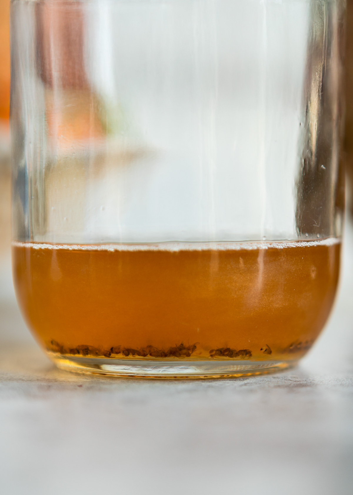 Mixture of honey, apple cider vinegar and dish soap.