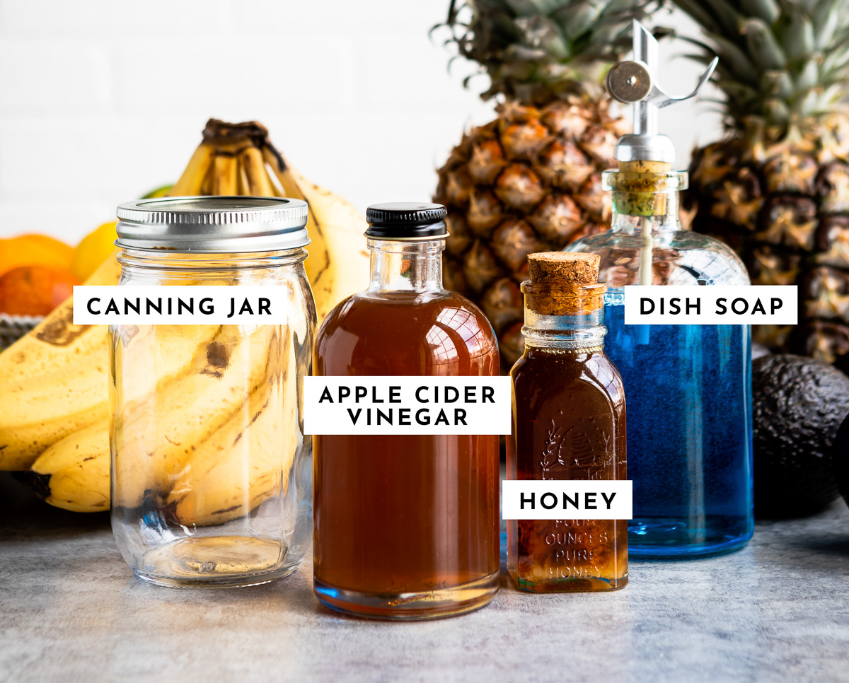 Ingredients and materials for DIY fruit fly traps