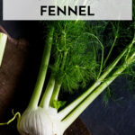 One whole fennel on a cutting board.