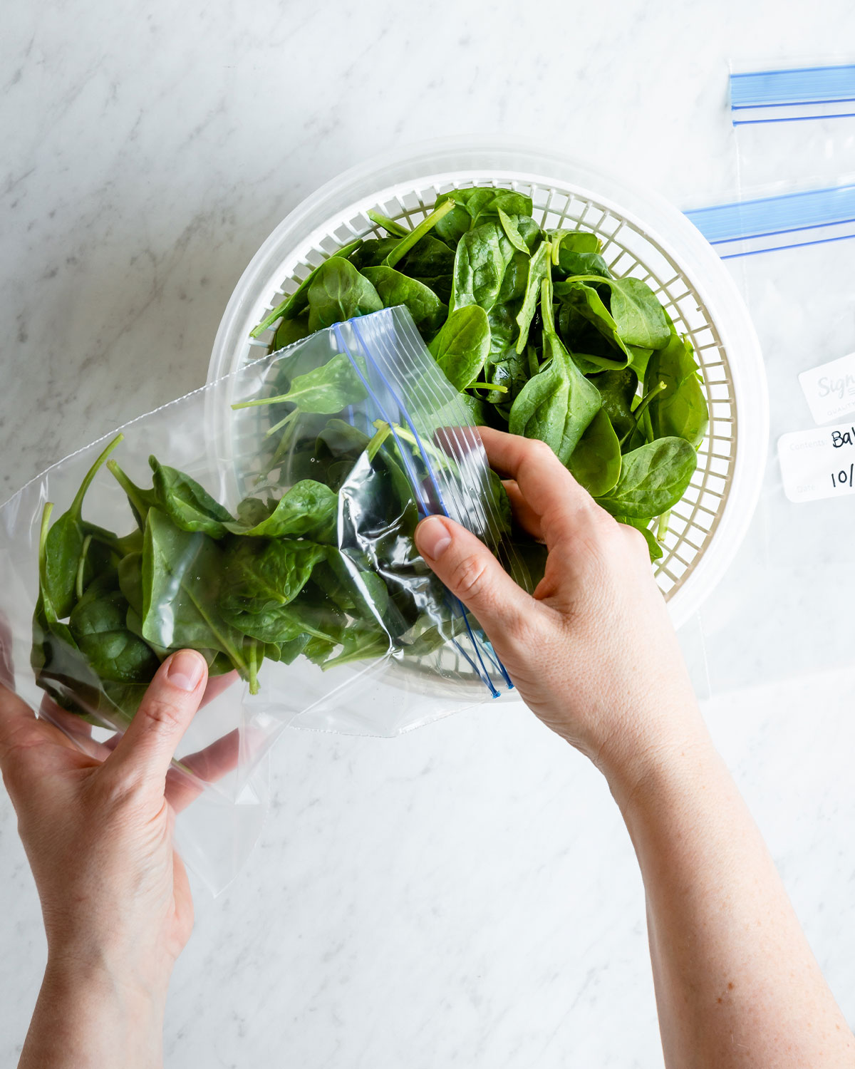 Hands packing spinach into zip lock bags.