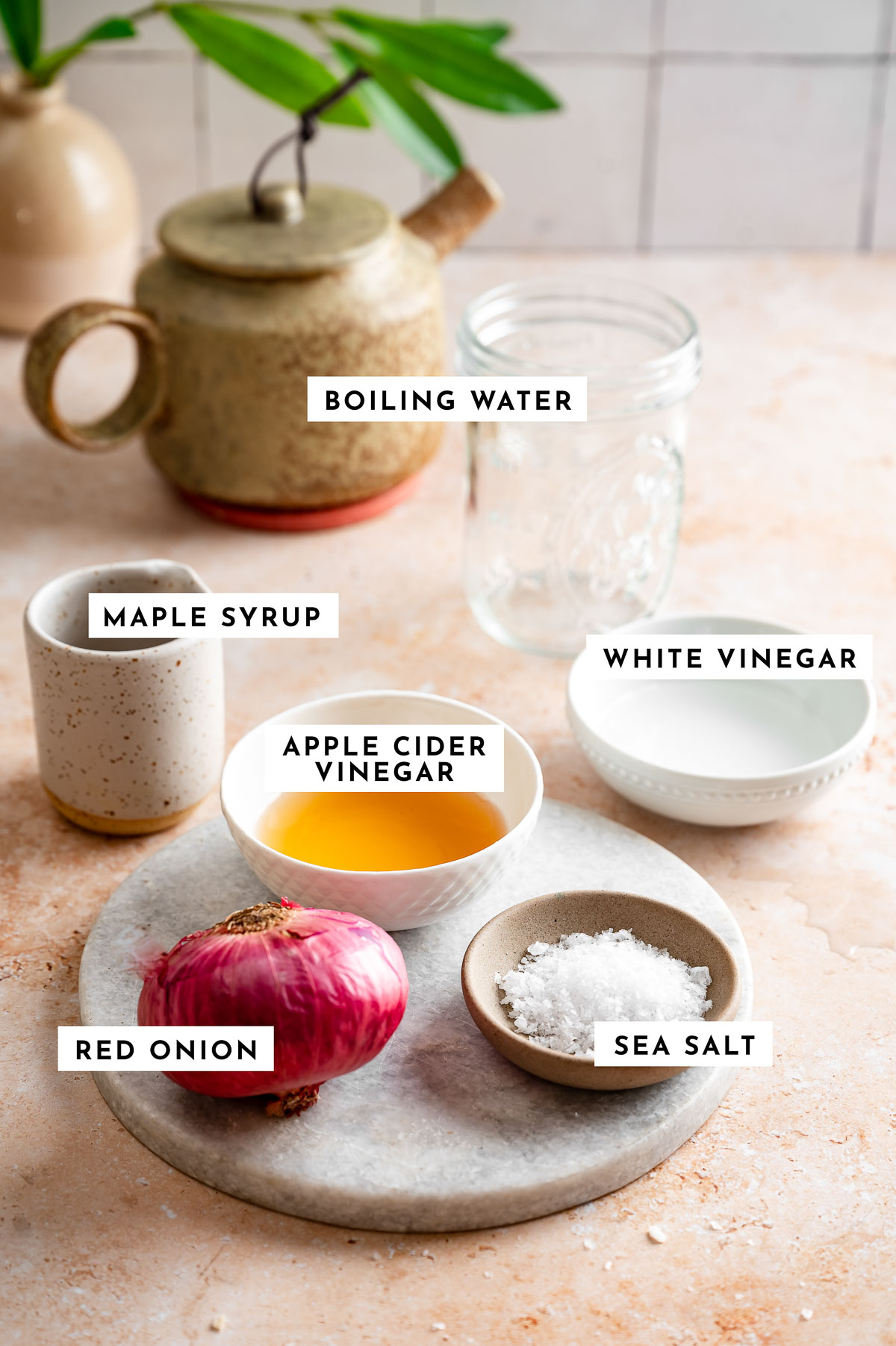 Ingredients for making quick pickled red onions
