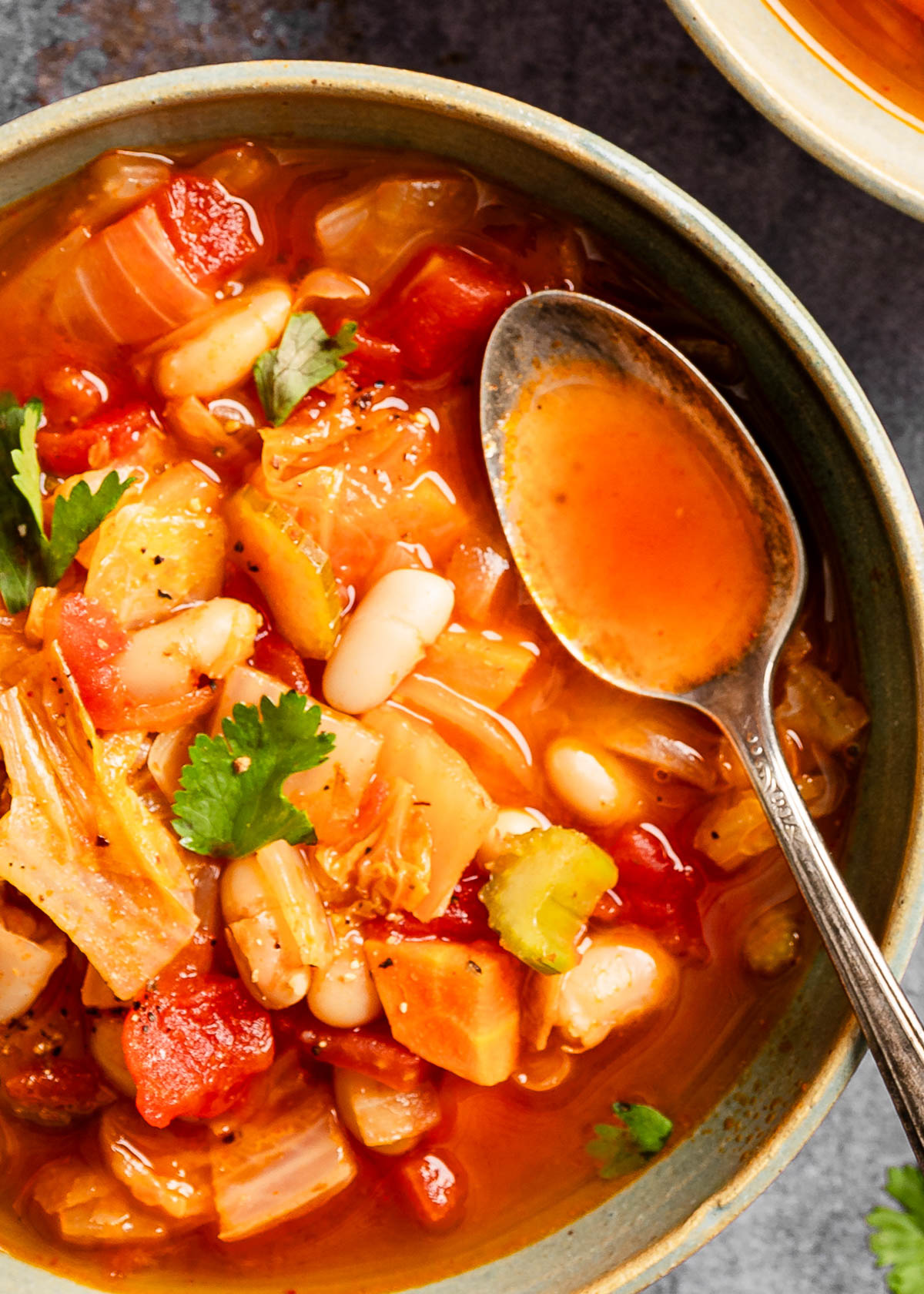 A bowl of weight loss cabbage soup filled with vibrant vegetables