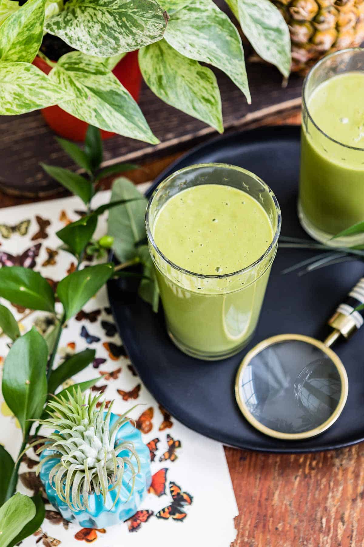 Two tall glasses of green adrenal fatigue diet smoothie.