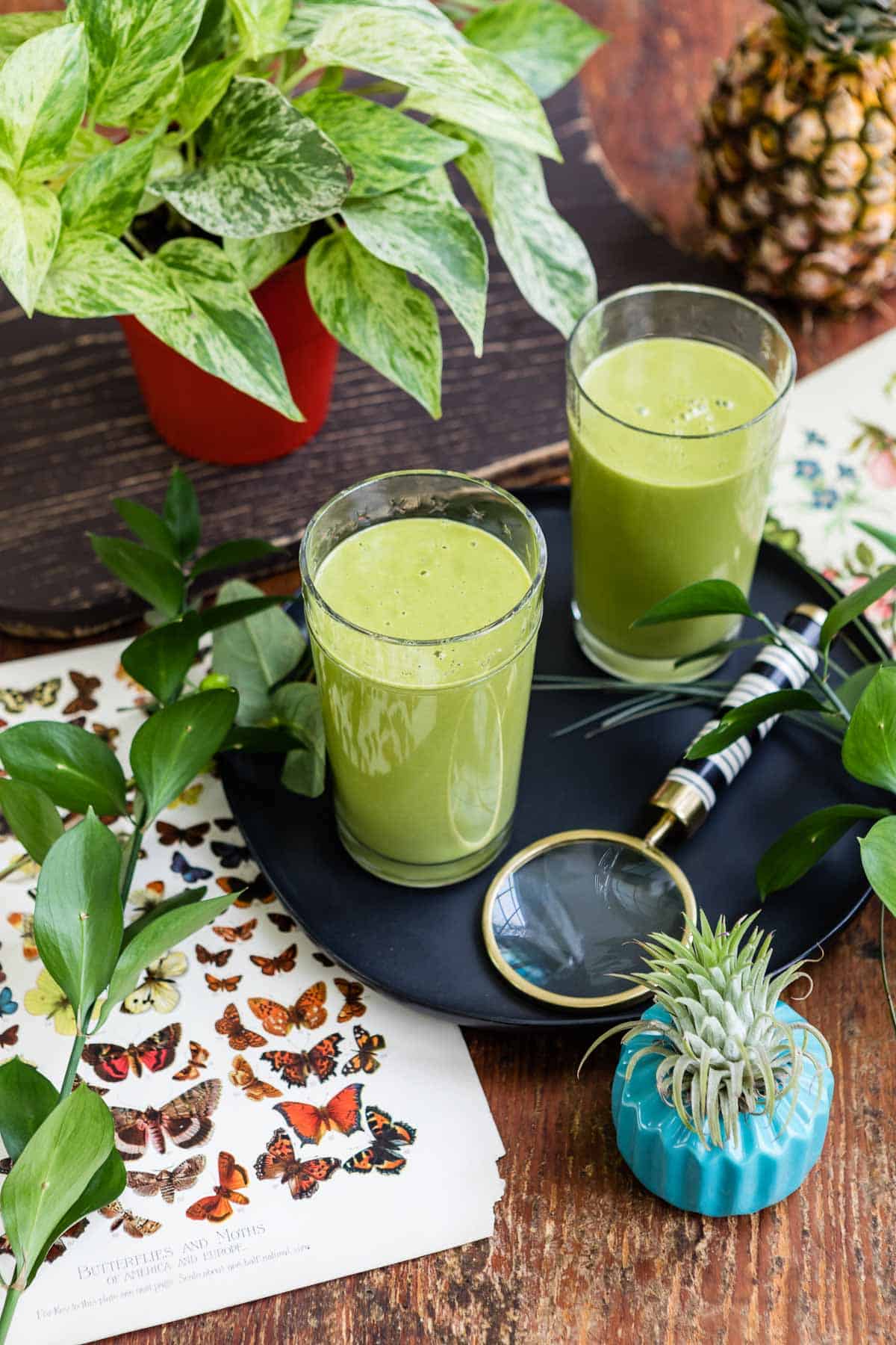 Ginseng Recovery Smoothie  Recipe from Nutritious + Delicious