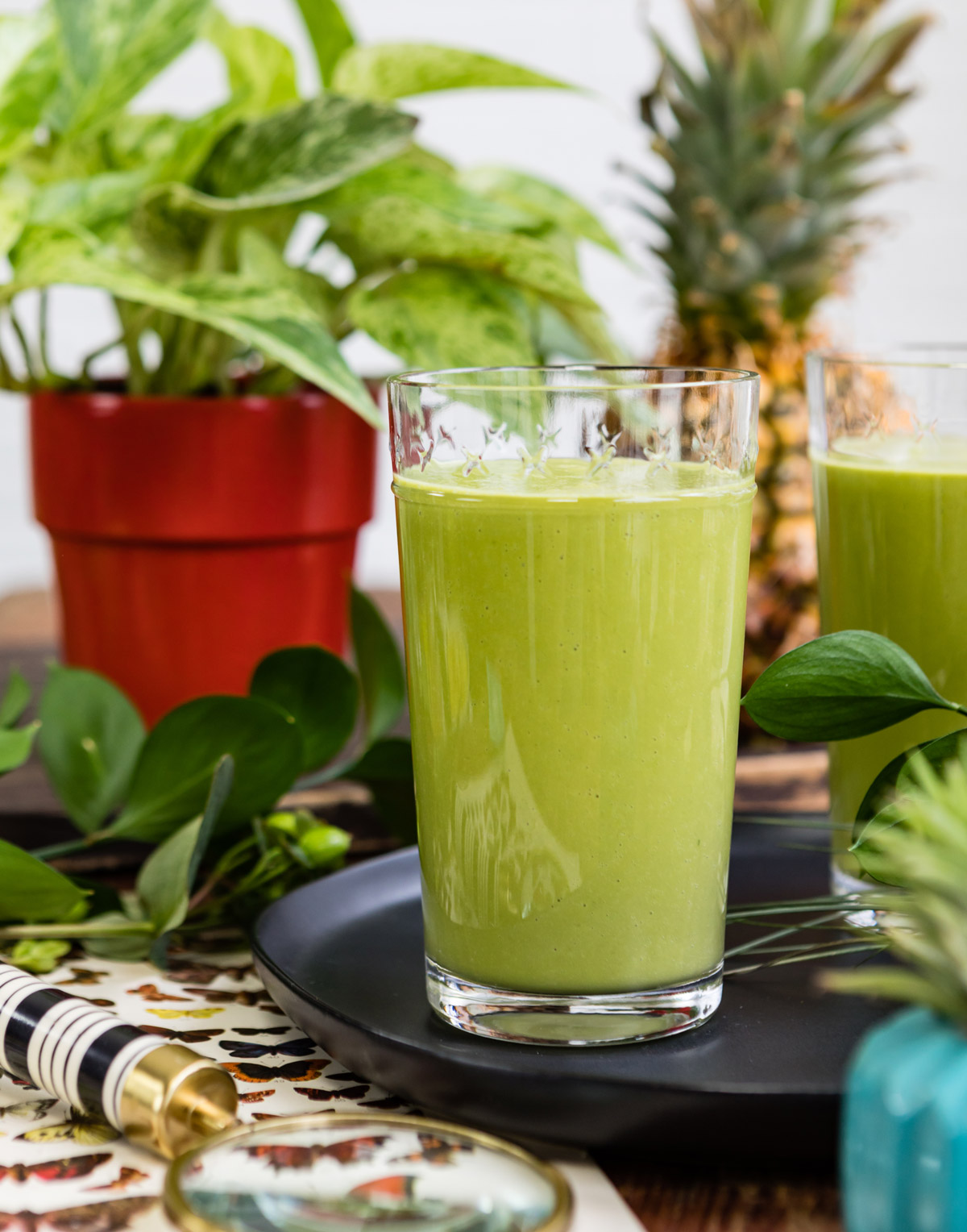 ornate glass of adrenal fatigue smoothie surrounded by plants