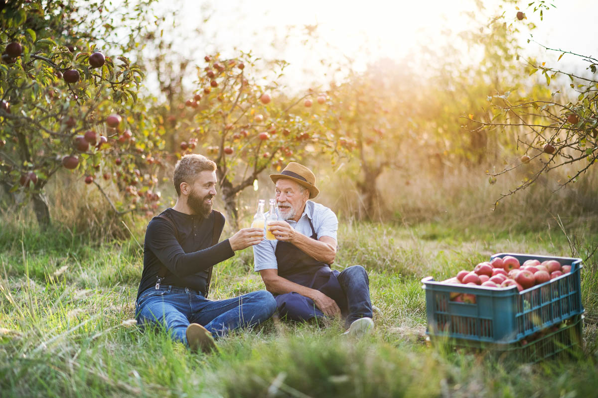 two men sitting in an apple orchard cheering 2 glasses next to a crate of apples.