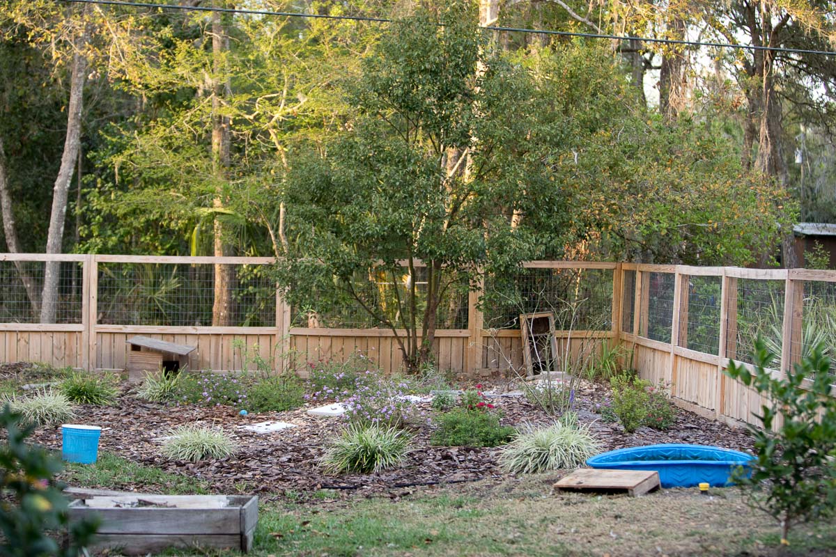 Corner of fenced-in yard dedicated to a beautiful flower garden with milkweed to encourage the monarch butterfly population.