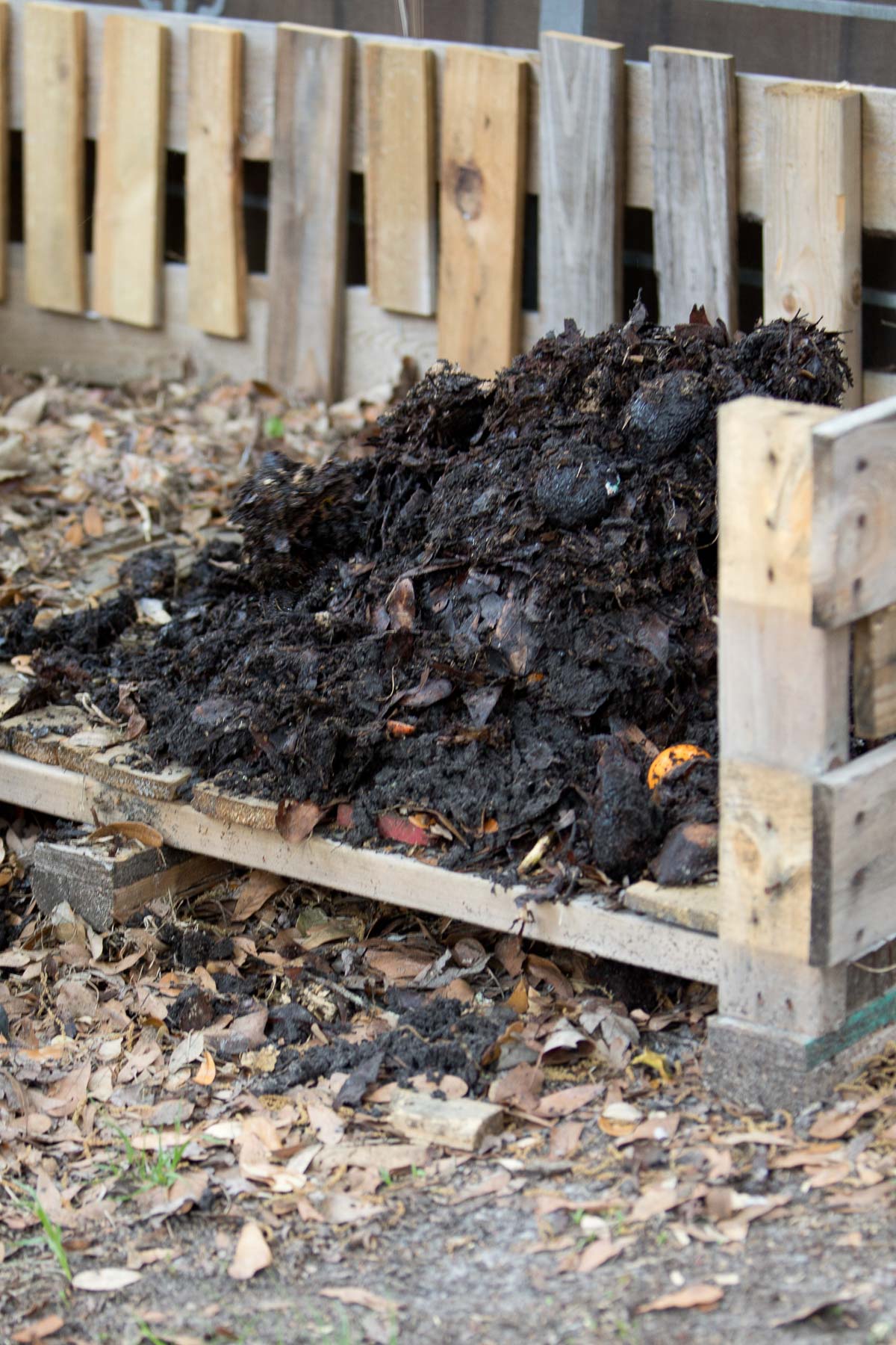 Composted material in a pile to enrich soil