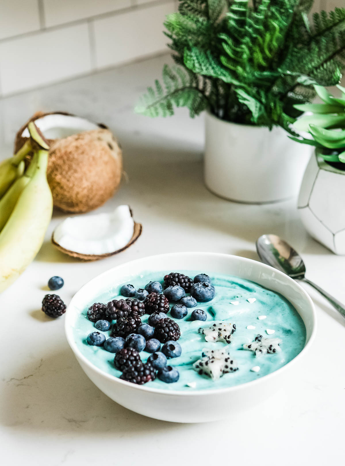 Banana Blender Ice Cream. Video How-To. Pink, Banana and Blueberry. 