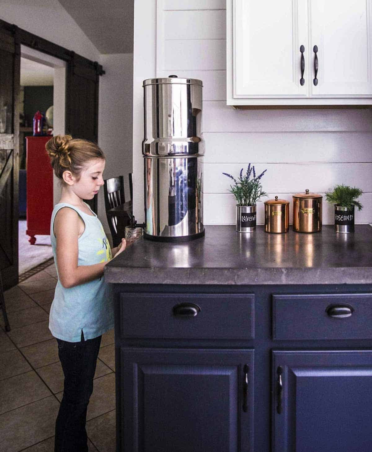 California Has a Ban on Berkey Water Filters — But Why?