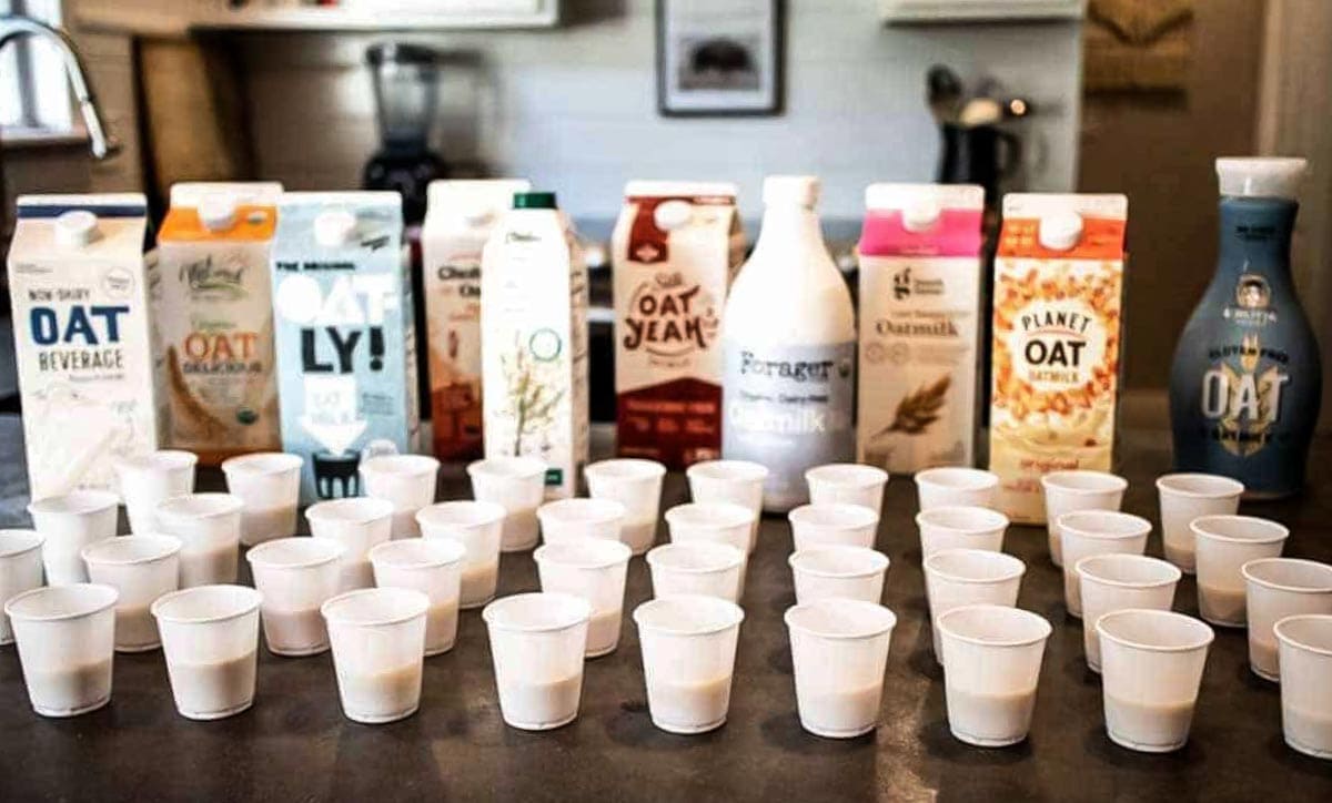 counter full of white cups with different plant-based milk brands behind them.