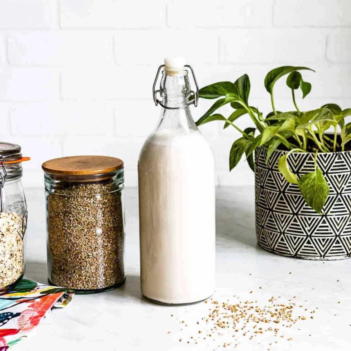 oat milk in a glass container next to a jar of oats on a white counter.