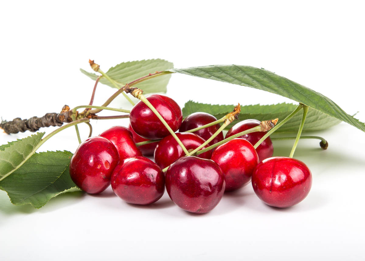 stem of cherries still on the branch with leaves on a white counter.