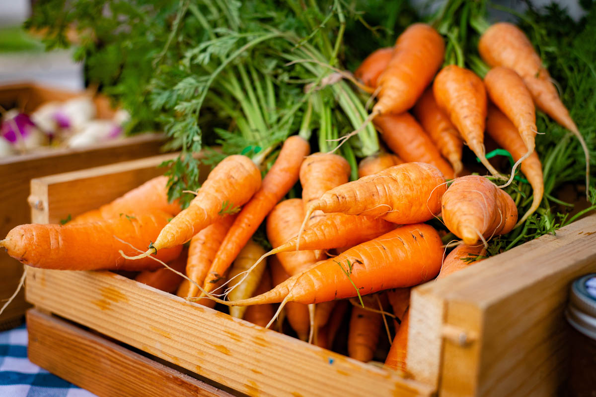 wooden crate full of orange carrots still on the stem.