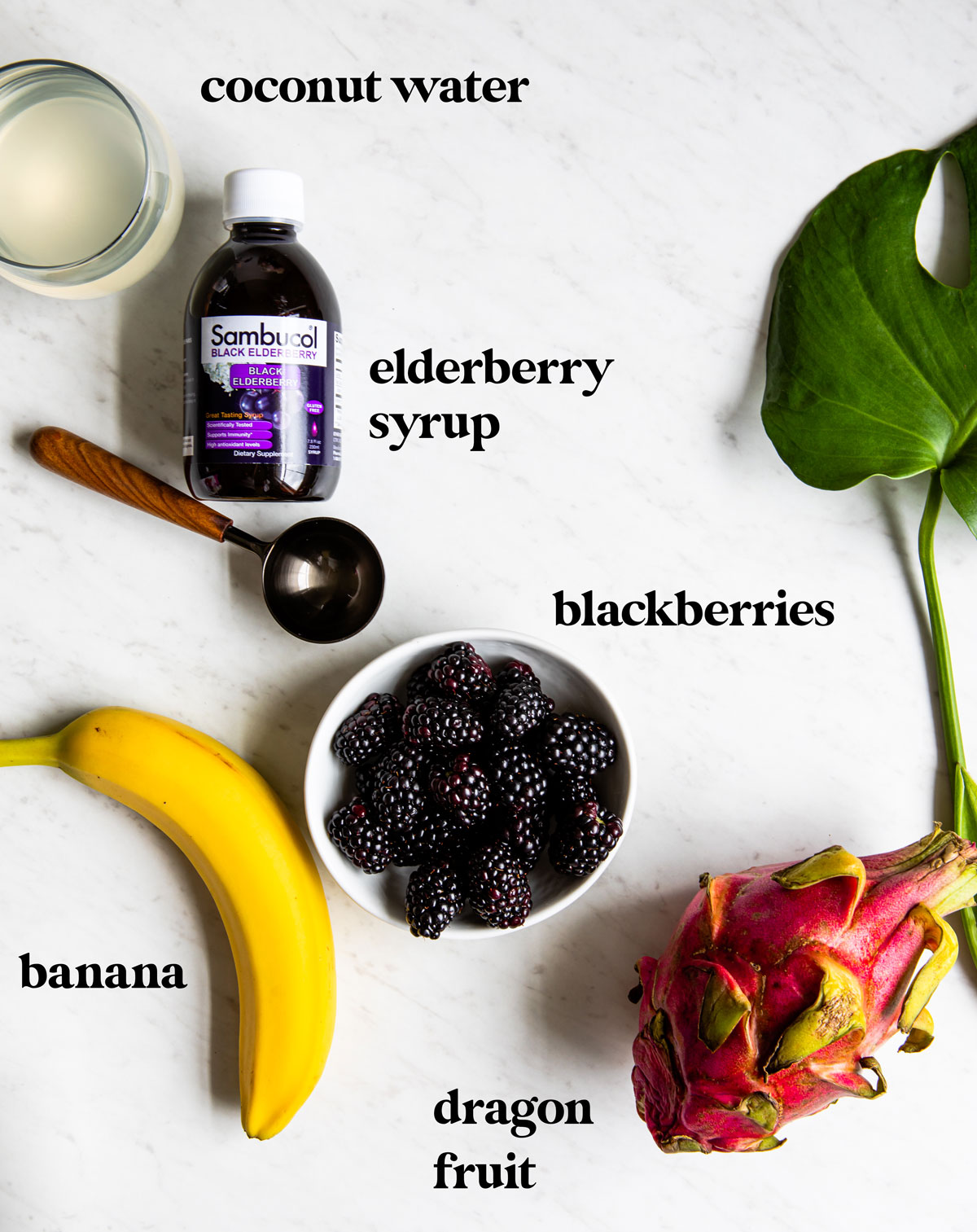 Ingredients in an elderberry smoothie including dragon fruit cubes, elderberry syrup, blackberries and banana.