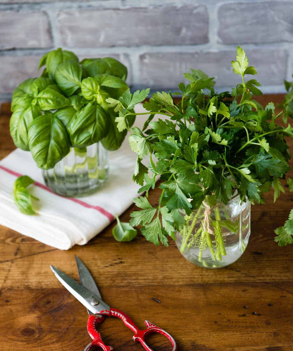 how to grow fresh herbs