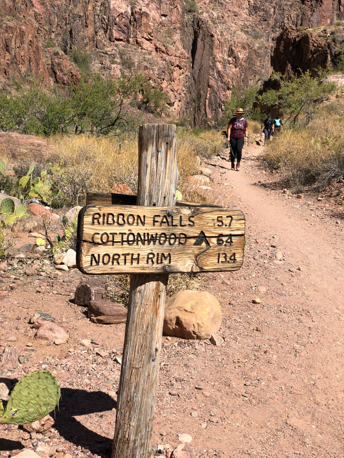 Grand Canyon Rim to Rim signage made from wood posts.