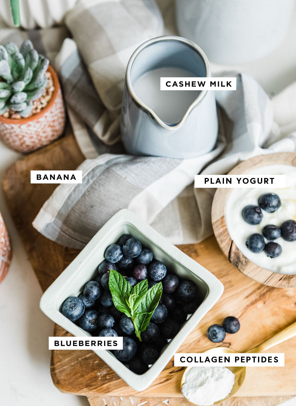 ingredients to make healthy blueberry smoothie