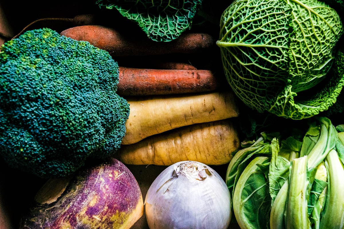 vegetables ready to pick in the Fall including cabbage, turnips, carrots and broccoli.