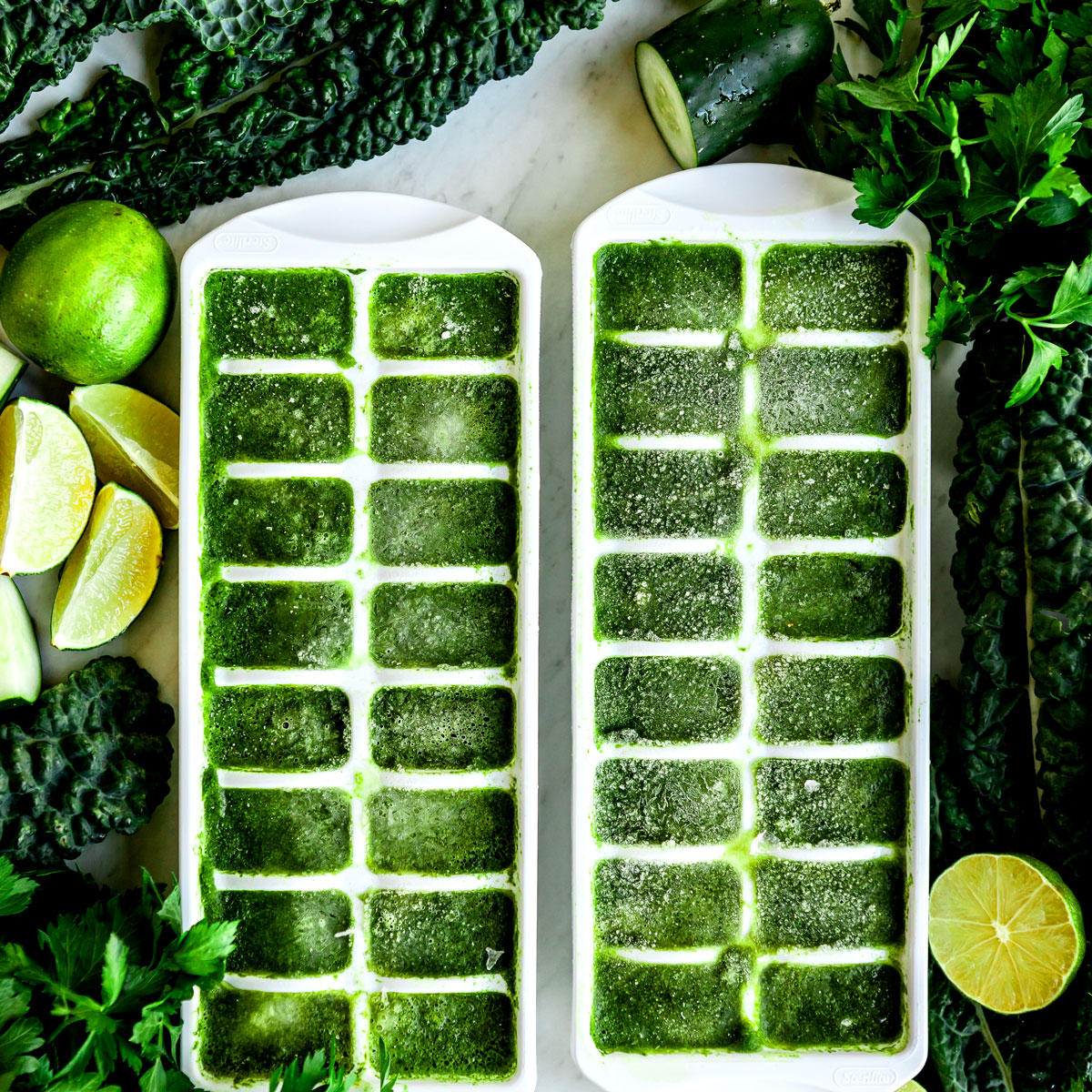 Ice cube tray with frozen spinach cubes.