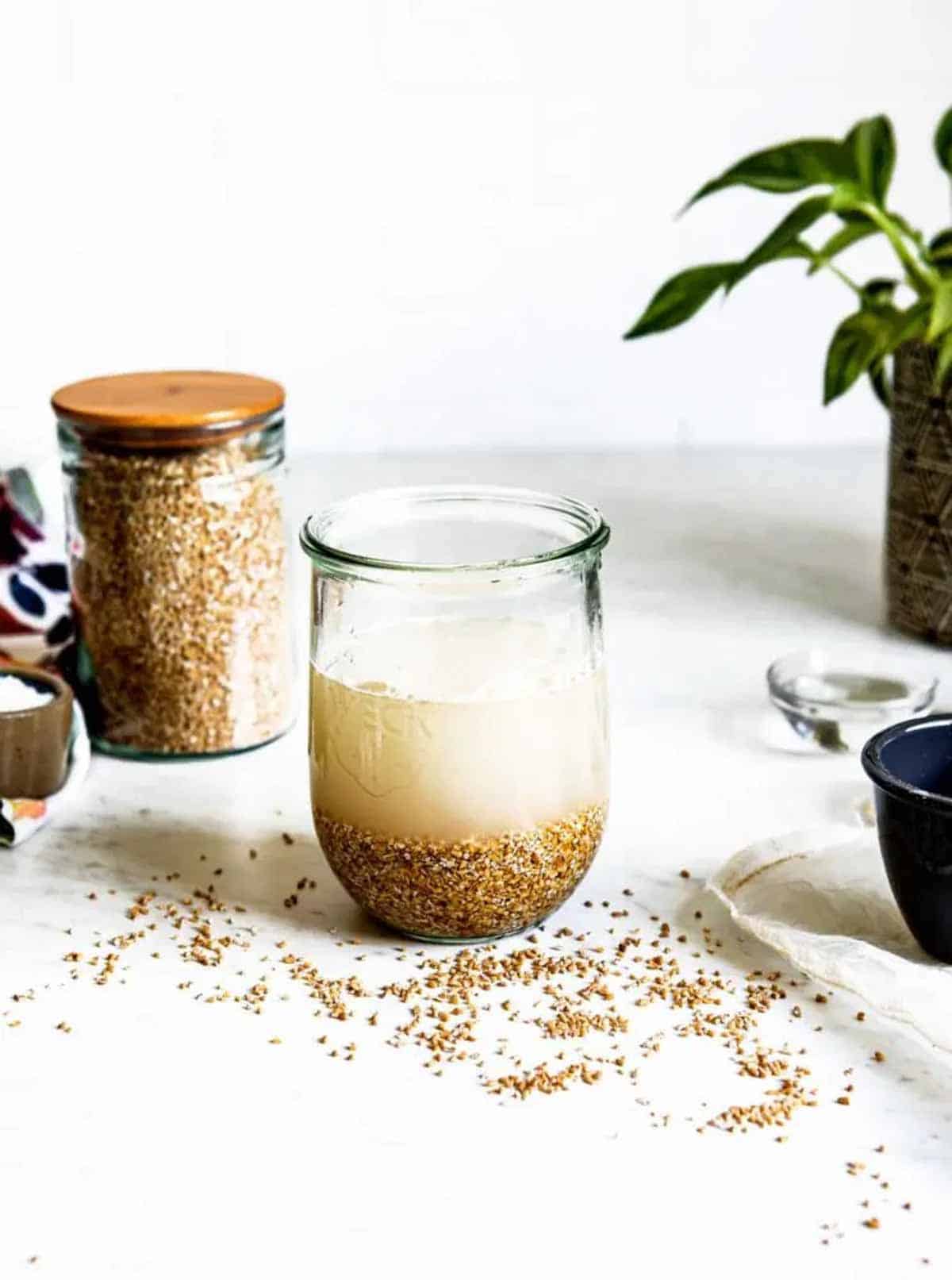 Soaking grains in a Weck jar with water.