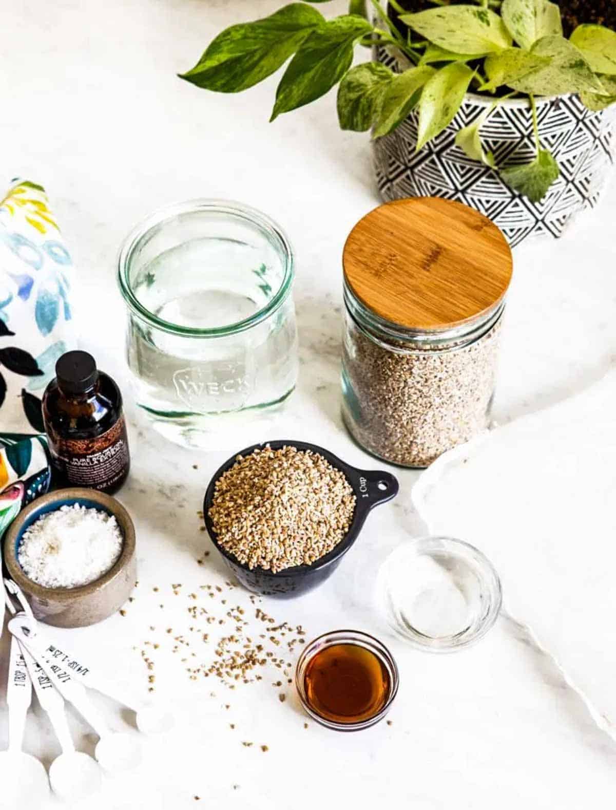 ingredients for homemade oat milk including oats, water, coconut oil, salt, maple syrup and vanilla extract.