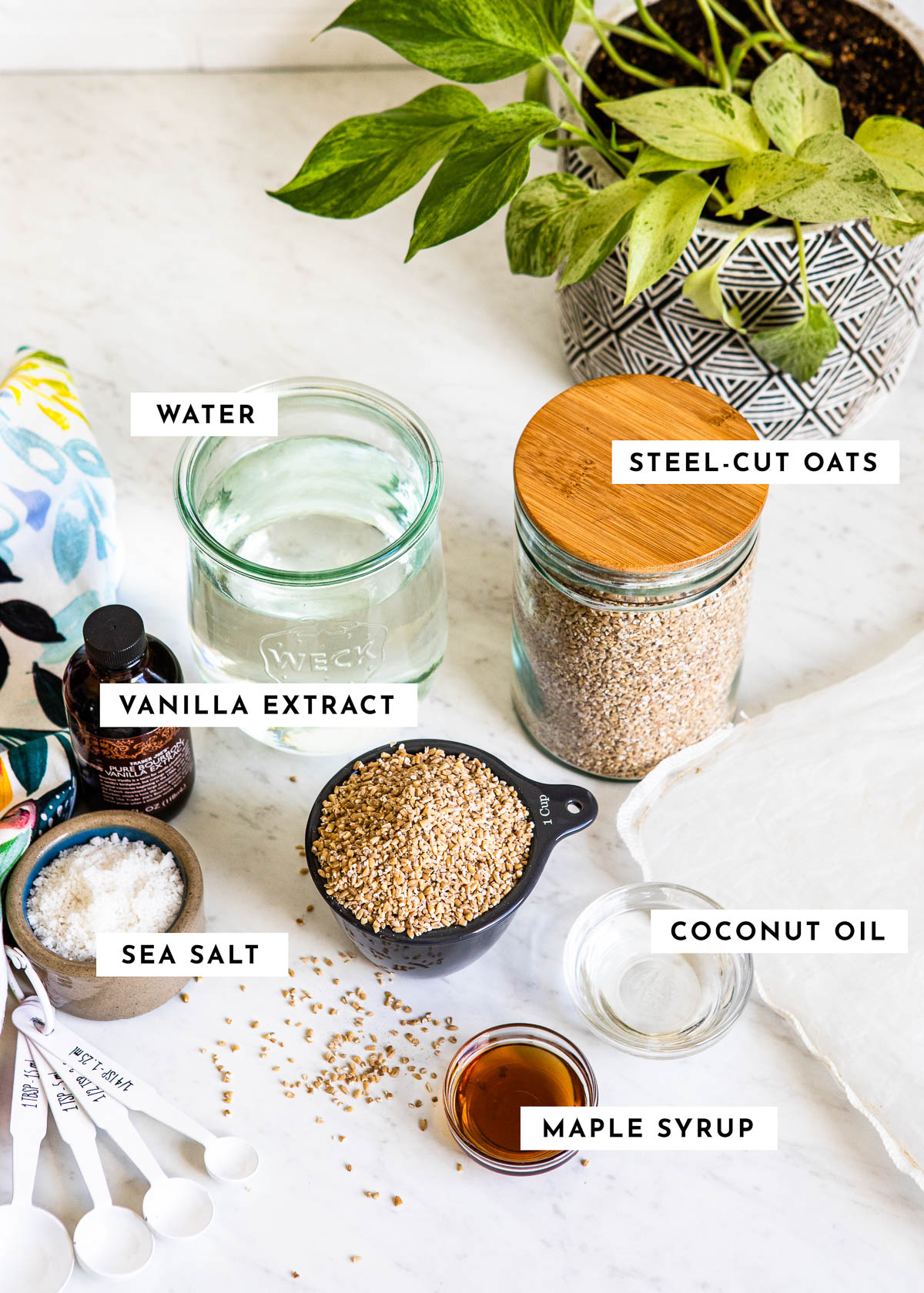 Ingredients on table for how to make oat milk recipe.