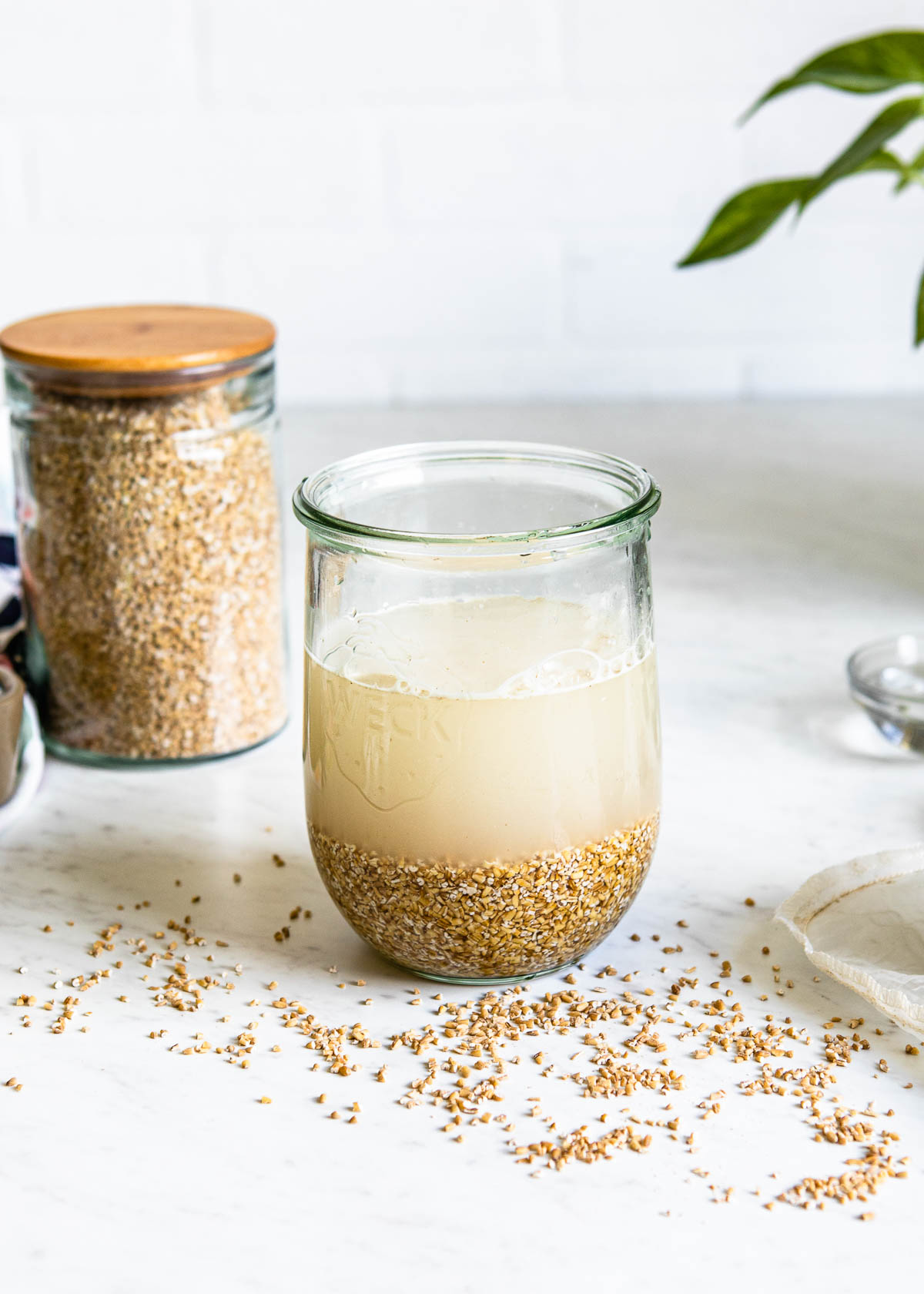 Soaking oats in glass jar for an oat milk recipe.