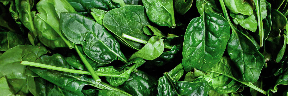 a pile of fresh spinach leaves.